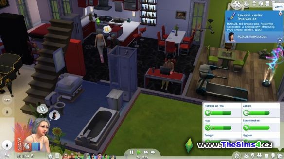 Rozálie dospěla a stala se spisovatelkou